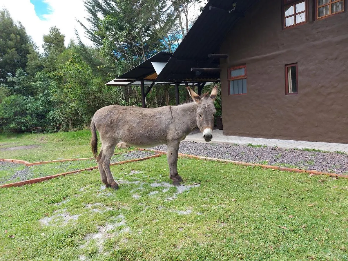 Chalet The Tree House Villa Quito