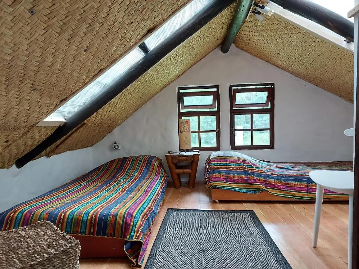 The Tree House Villa Quito Ecuador